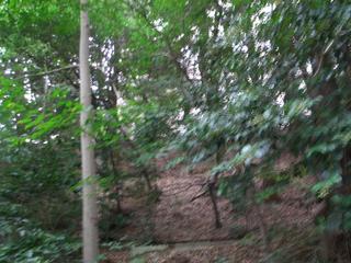 2007-09-29 12:14:38