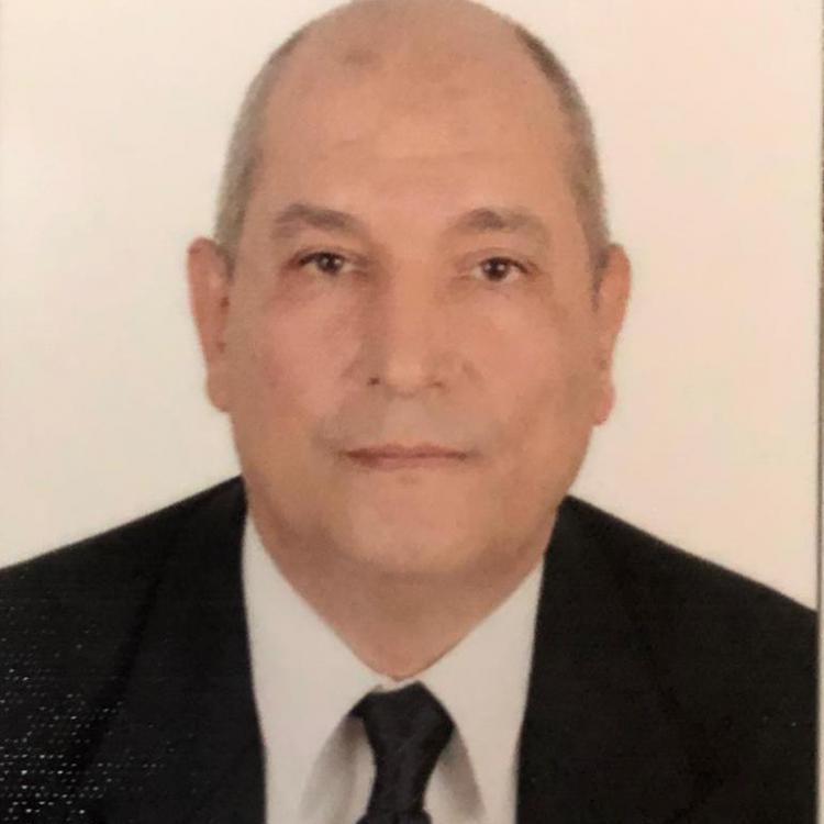 Ahmed Bakr Mohmoud Khalil, PhD