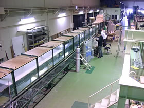 交換の風洞水槽実験（水槽は応用力学研究所所有）