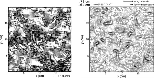 PIV  （左）流速　（右）発散