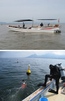 現地観測の様子